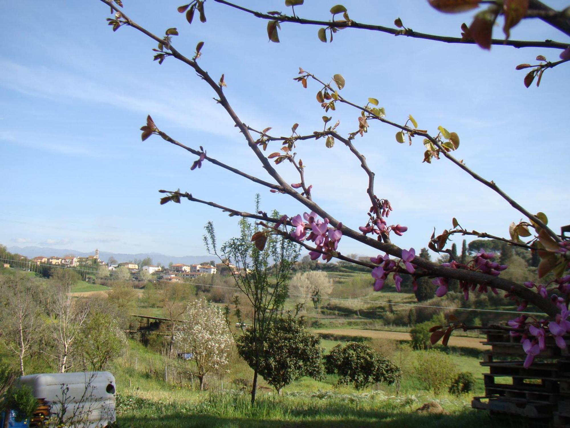 Podere Gian Battaglia Fucecchio Exterior photo