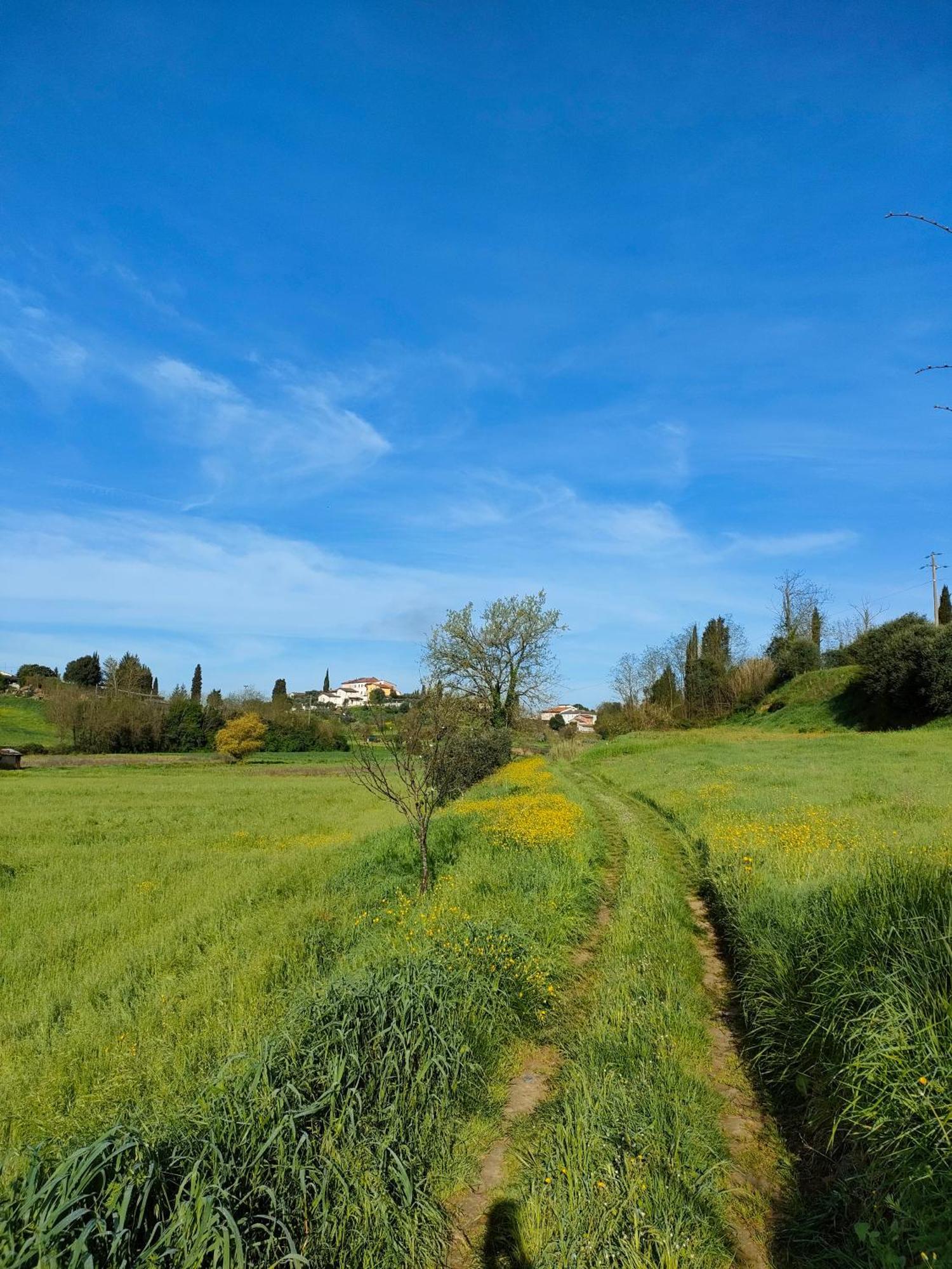 Podere Gian Battaglia Fucecchio Exterior photo